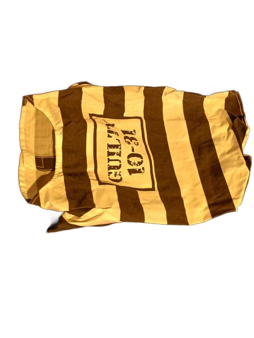 guilty dog costume